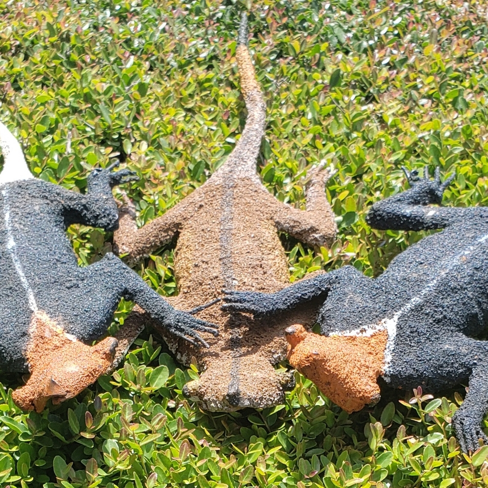 Reptile Habitat Wrought Iron Wall Decor with Black and Brown Accents Set of 3